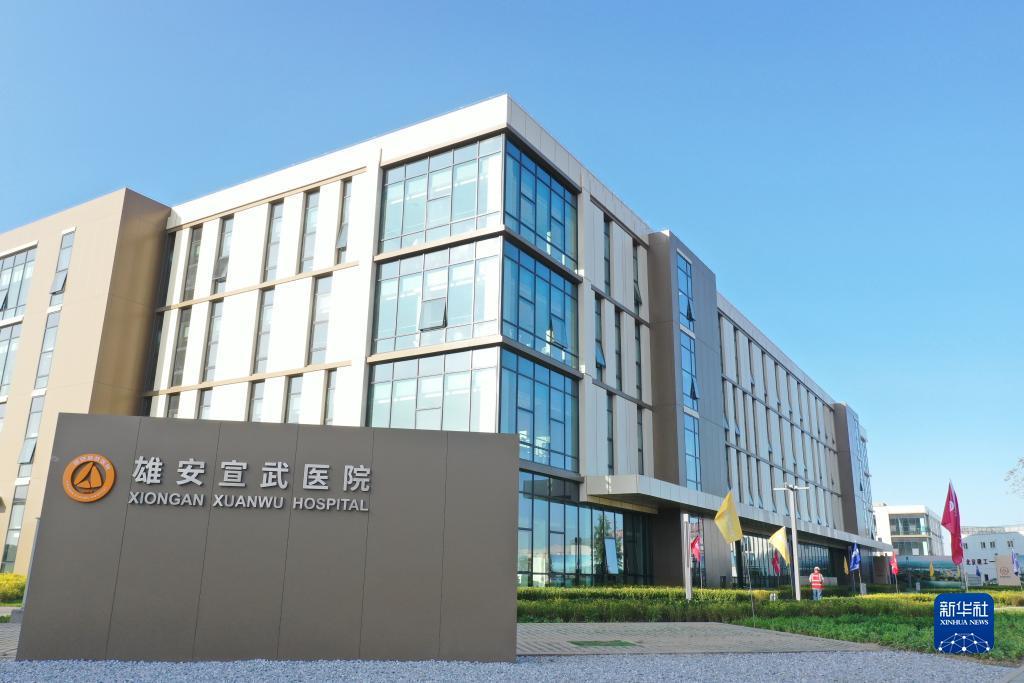 问鼎app下载安装